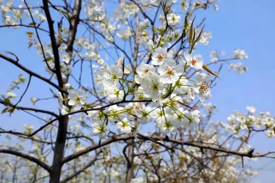 济南踏青旅游攻略,济南哪里的温泉适合带孩子去的