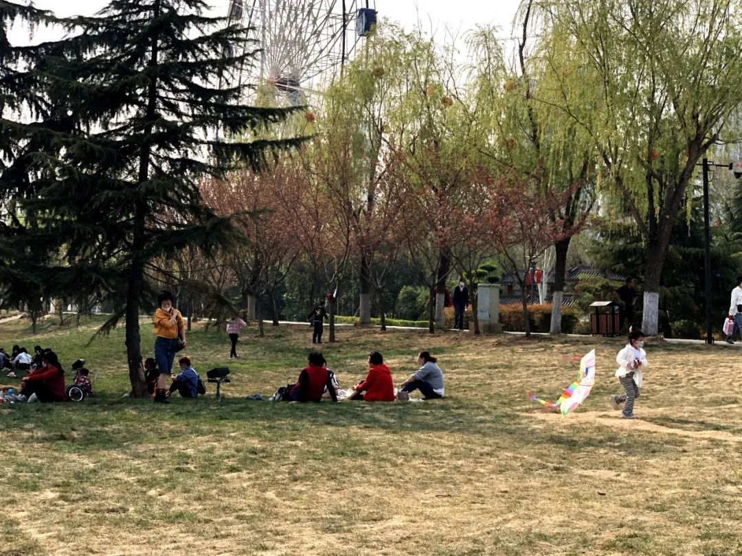郁金香花海太美了,咸阳湖畔郁金香花海