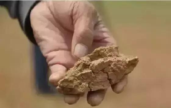 可以给花盆土里加营养液吗,盆里加点它养花10年不黄叶