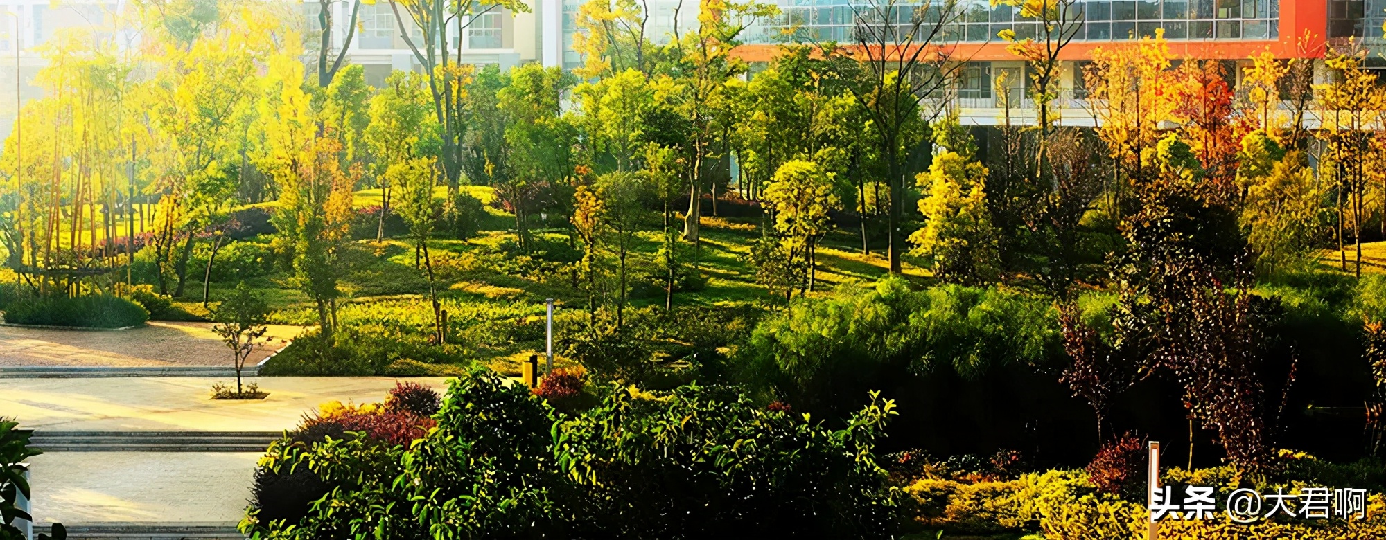 昆明市第十中学,学校巡礼