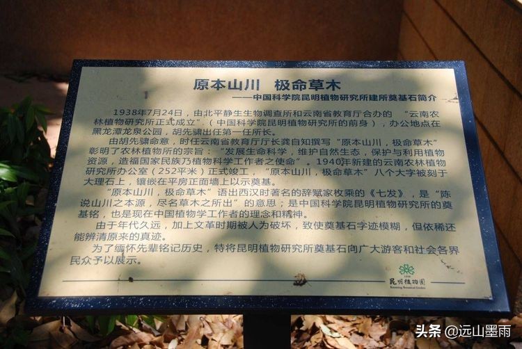 植物科学活动,第二十届公众科学日合肥