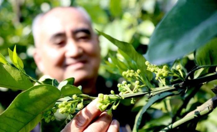 种地氮磷钾超标怎么改良土壤,怎样改良土壤肥料