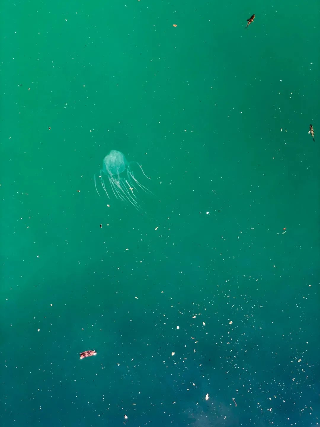 出不了门的心情,出不了门的日子让人心绪难平