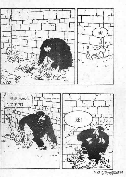 丁丁历险记刚果完整版,丁丁历险记西藏