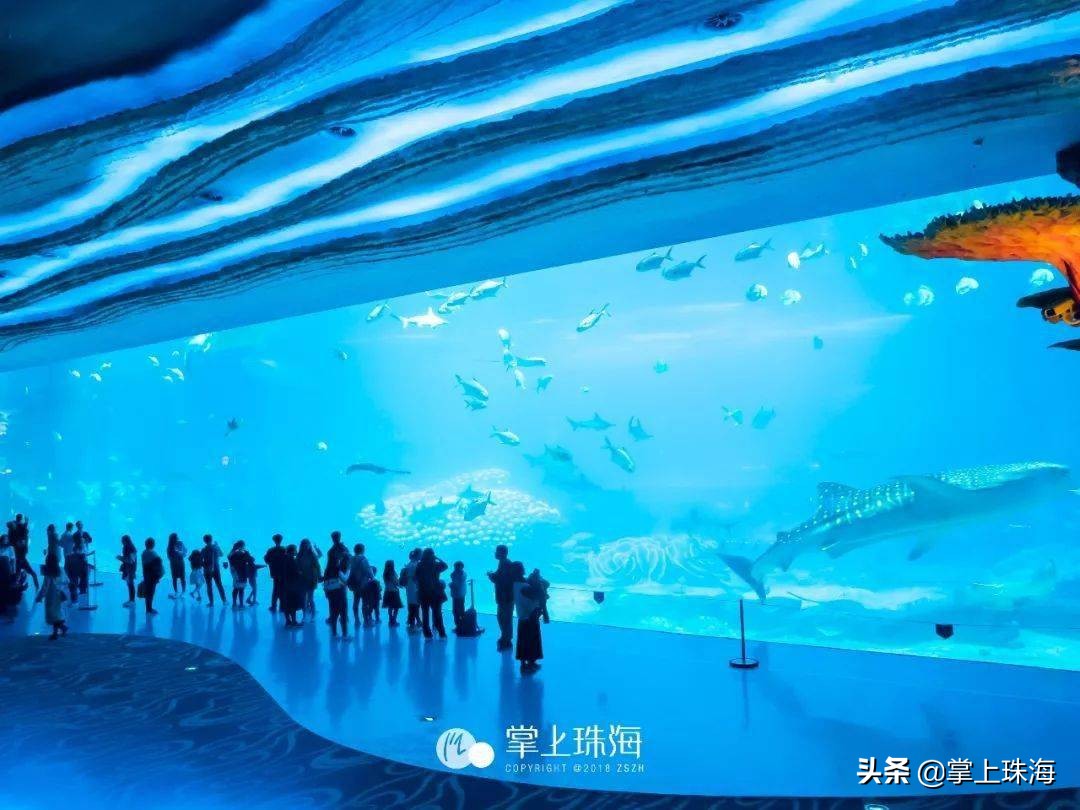 分享一张20年前的照片珠海之旅,回忆以前去过的珠海照片