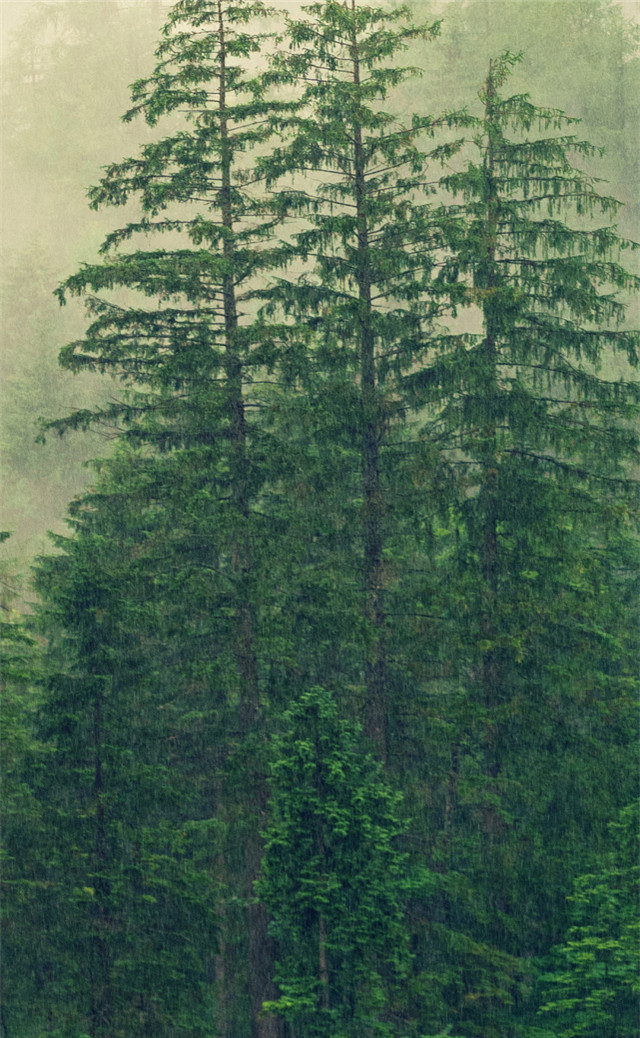 缓解眼睛疲劳壁纸颜色,缓解眼睛疲劳的壁纸高清