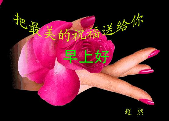 祝愿您新的一天心情愉快,愿清晨的问候带给您愉快的一天