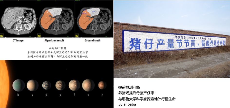 马云谈养猪的最新信息,马云为啥关注农业行业