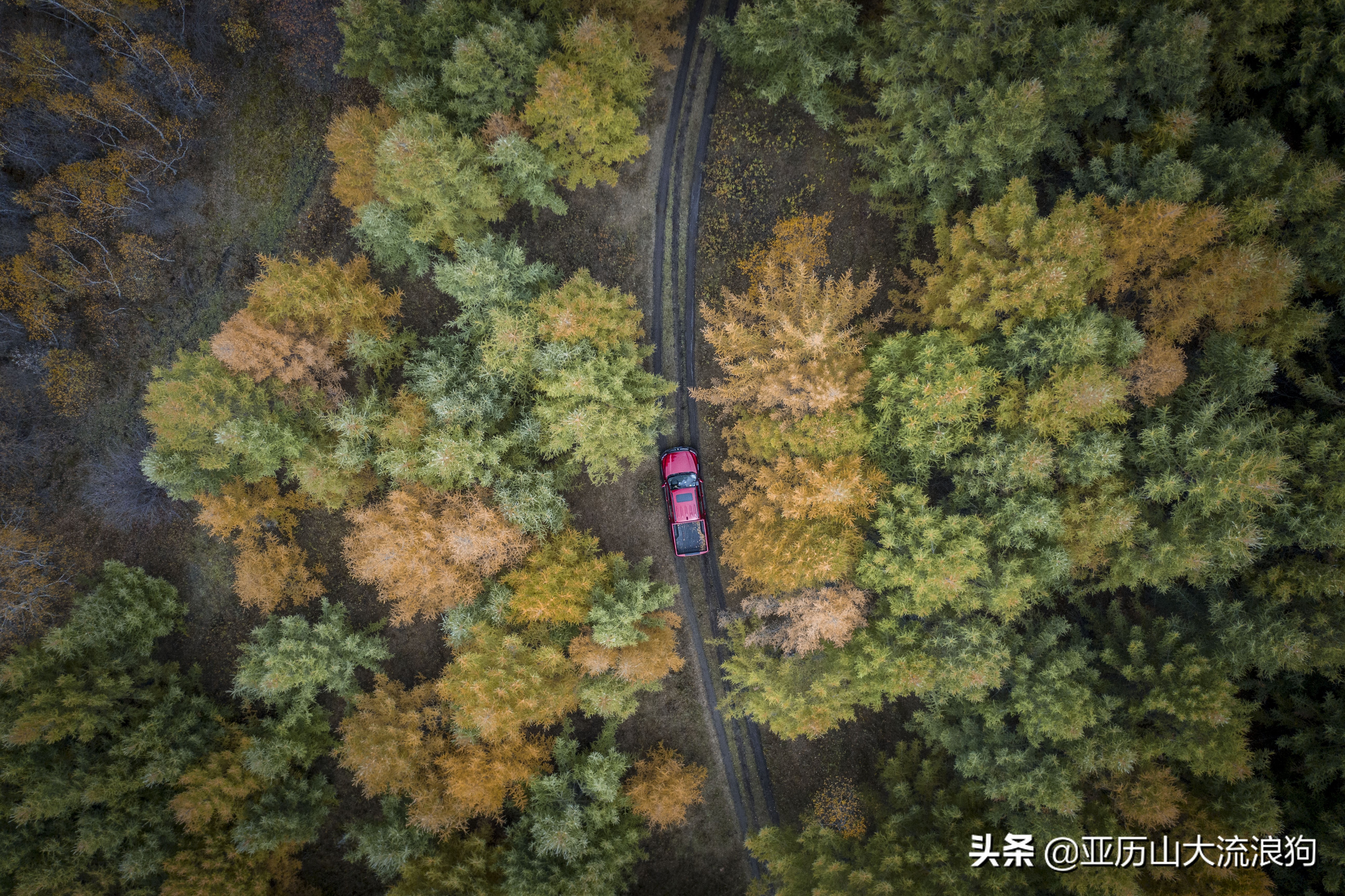 你那秋天来了吗？我这反正颜料泼了一地——内蒙古黄岗梁穿越之旅