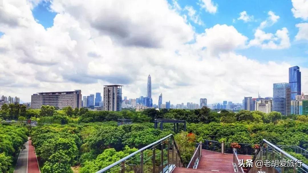 深圳不可错过的游玩地方,2022早春深圳踏青好去处