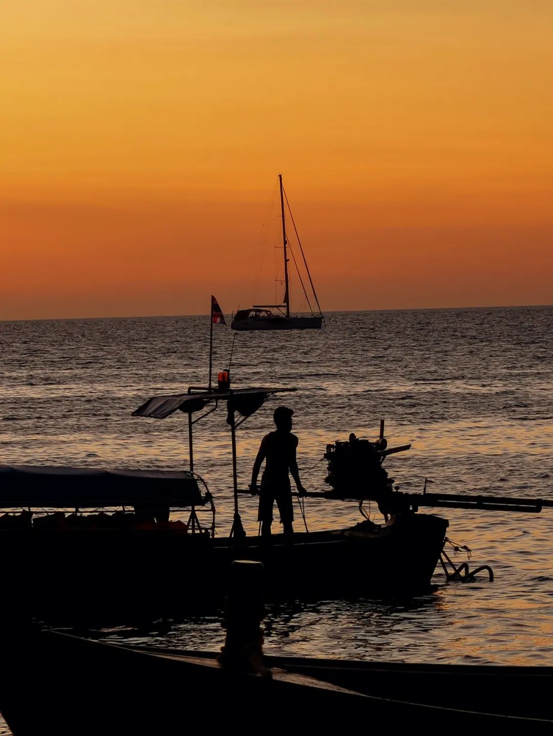 恋恋丽贝岛,人狗情未了|KohLipe