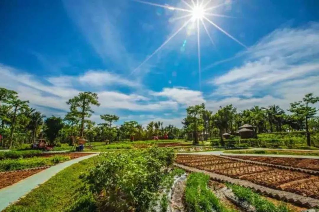 海岛假日|拥抱海风,在康斯宾悦私藏度假小时光