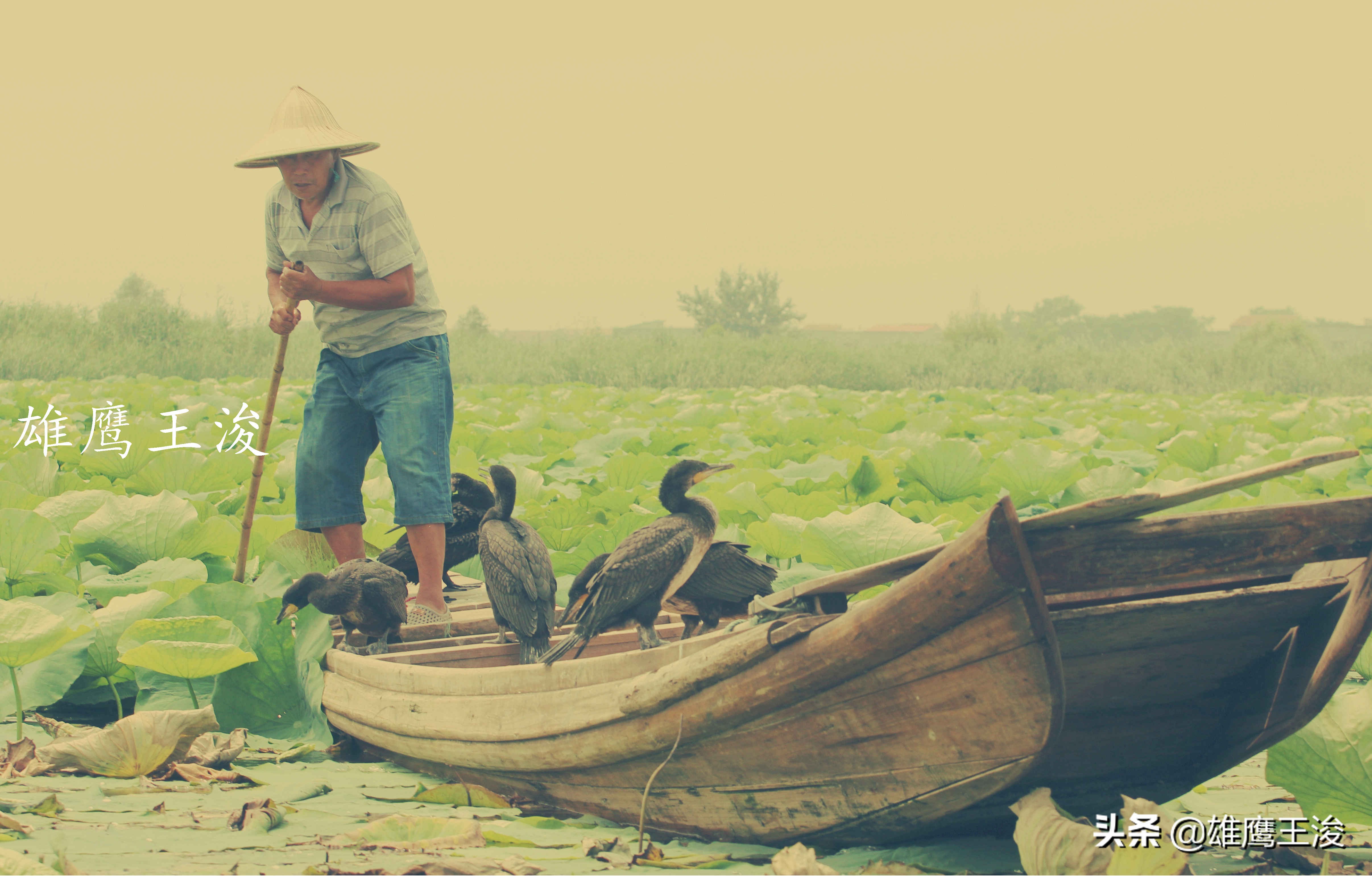 河南一座不起眼的城市,河南最有历史感的城市