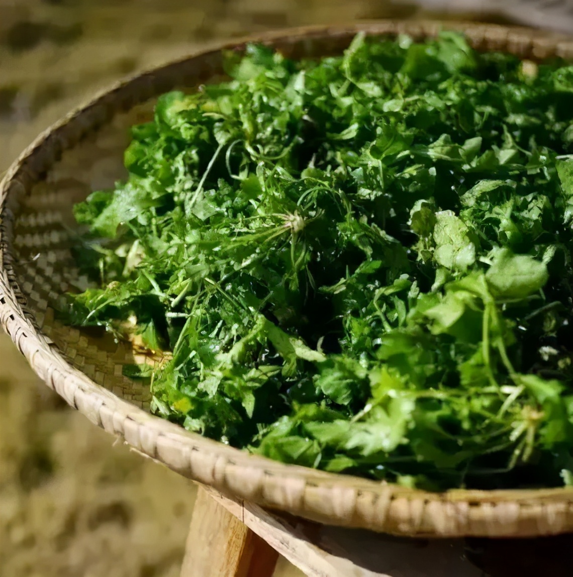 古人让人惊艳的雅称,古人取名艺术