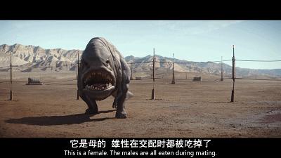 迪士尼+首部星战原创剧开分9.3！网飞还能保住铁王座吗？