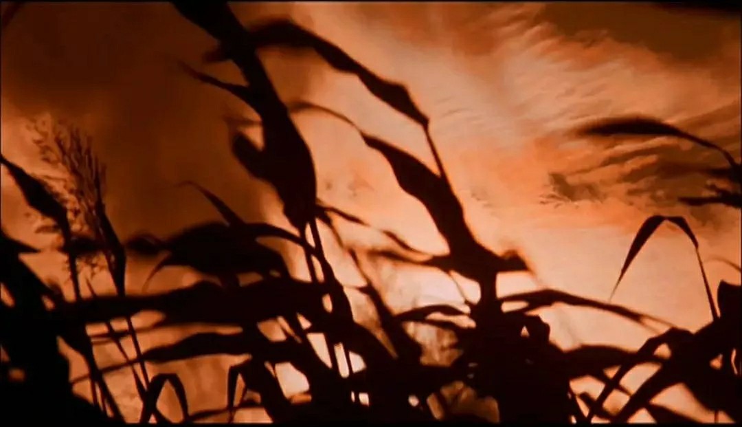 悦读文摘莫言经典语录,悦读莫言