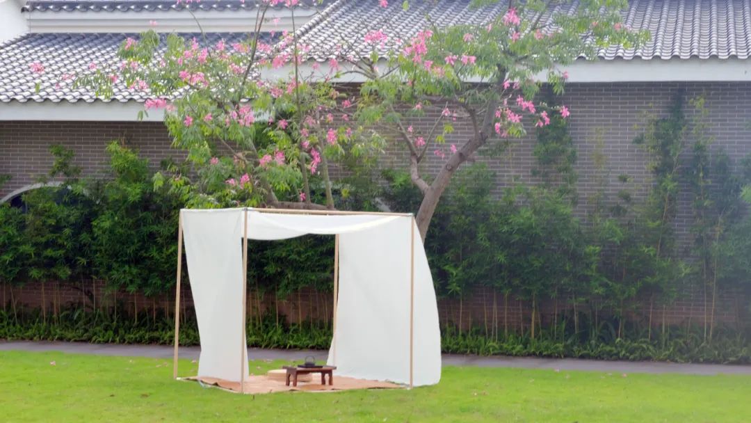 夏日解暑冰茶元气森林,夏天避暑花茶推荐