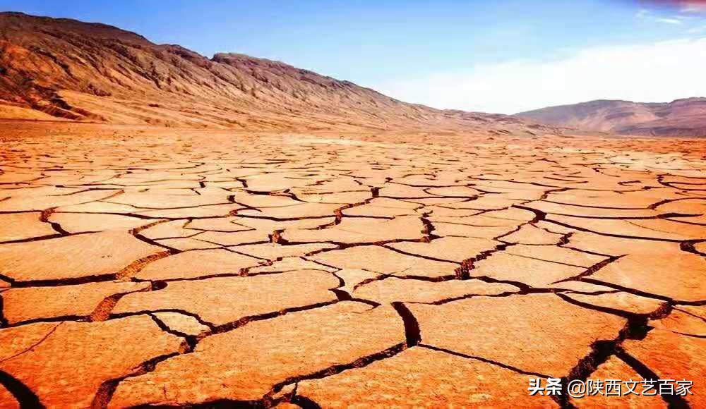 高标准农田土壤改良方法,李宝智三农在线直播