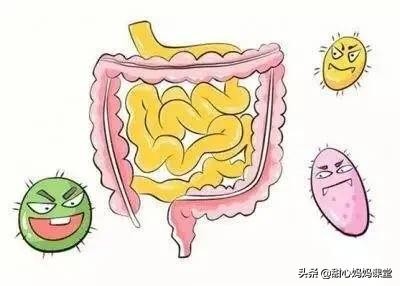 关键时刻能救命!l这一篇就能全方位了解小儿急性肠炎,速看!