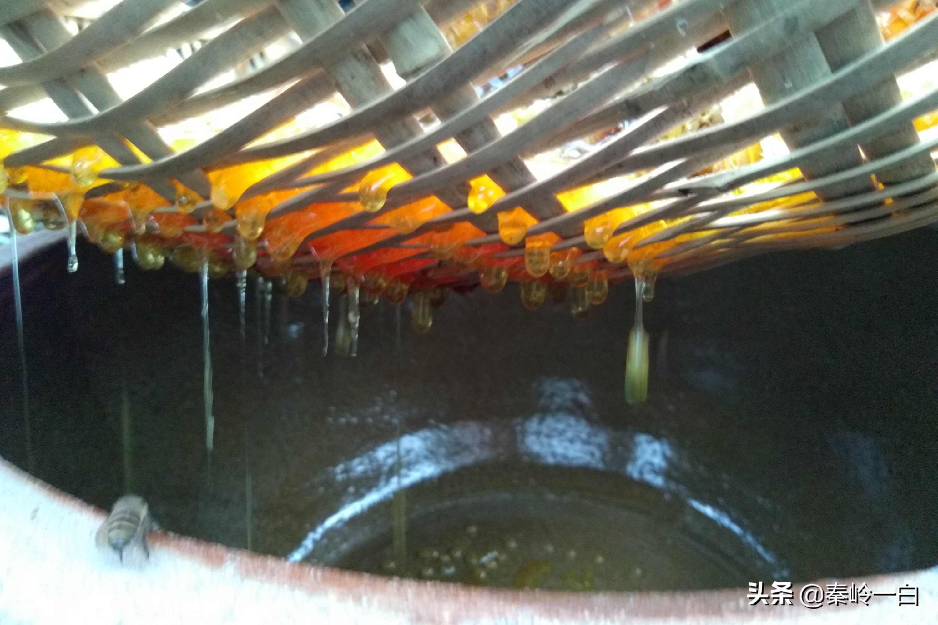 蜂蜜里的小黑点是虫吗,蜂蜜上面有一层黄色点点还能喝吗