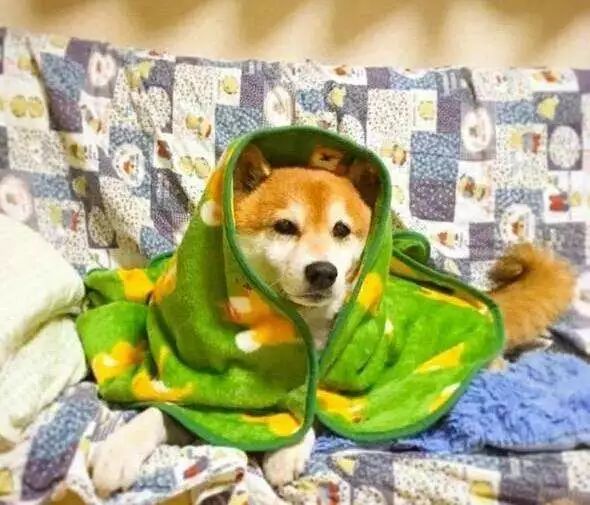 宝鸡泡温泉几月去最好,宝鸡凤翔温泉旅游攻略