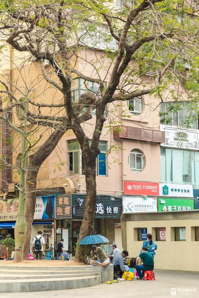 罗湖区莲塘有什么好玩的,罗湖莲塘风景