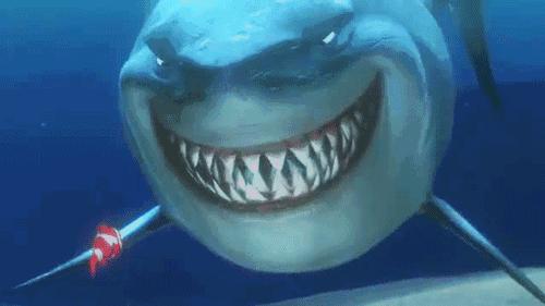 不为吃不为地盘,为什么可爱的猫会折磨猎物并赶尽杀绝?