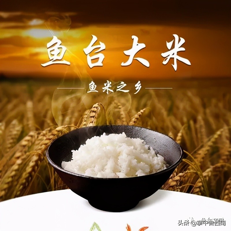 “鱼米之路”文学征文（2）：鱼台米稻香