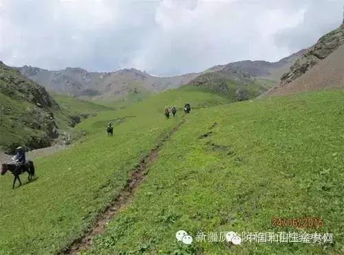 玛纳斯探奇之旅,新疆探秘伊犁