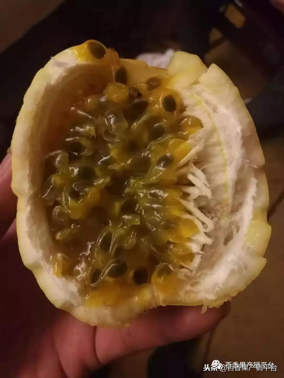 黄金百香果和百香果营养价值区别,百香果巨无霸和黄金果有什么区别