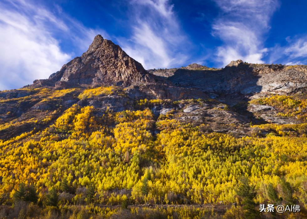 美国各州最富有的镇,美国所有城市最富的是哪个城市