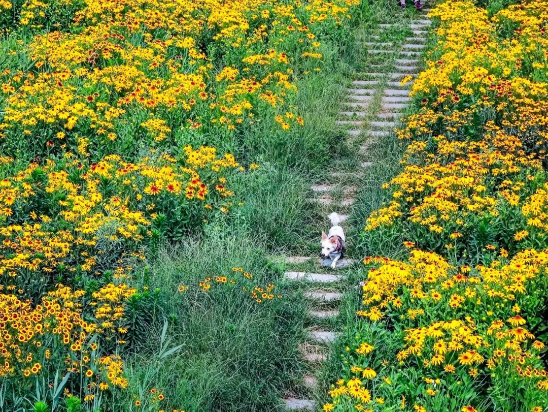 在济南花式避暑,一见“清”心!只需一瞥,便足以把酷夏原谅…
