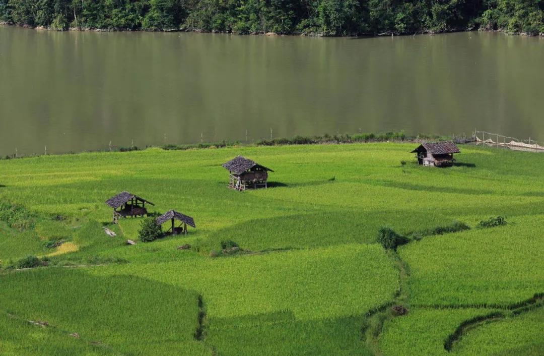 龙江“窝铺”里的光阴阡陌：风情万种地述说着乡愁