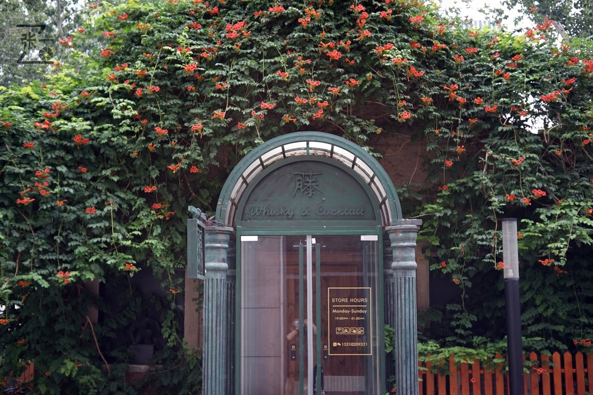 适合索尼a7m4的50定焦镜头测评,索尼a7m4镜头24-105f4测评