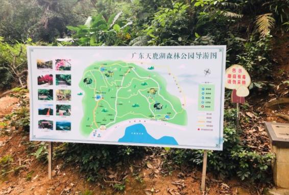 丛林飞跃有哪些刺激,去各种各样的地方玩丛林飞跃