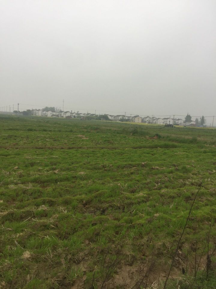 梦回丹阳之追忆原唱,梦回丹阳文旅