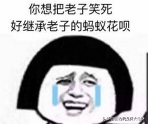 支付宝花呗被风控多久能恢复,支付宝花呗付款风控解除方法