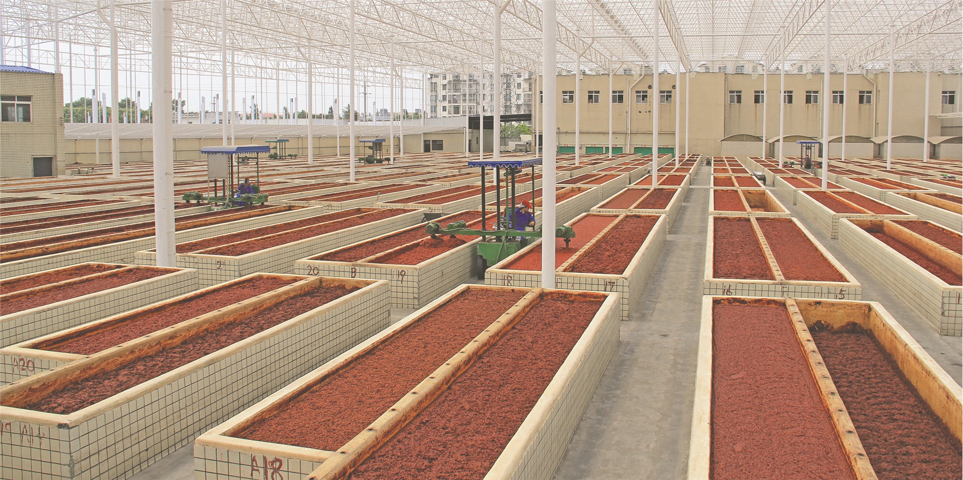 四川郫县豆瓣价格走势,郫县豆瓣很出名