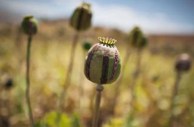 五种跑偏的发明,历史3个跑偏的发明