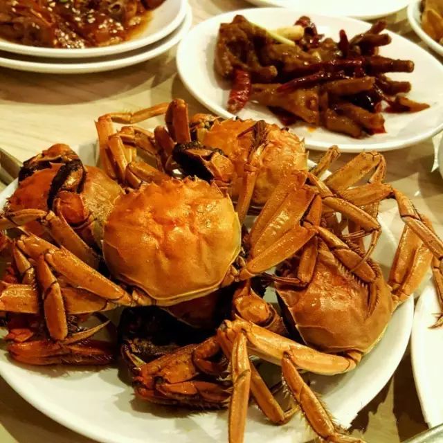 长沙这13家大明星开的店，你过去几家？