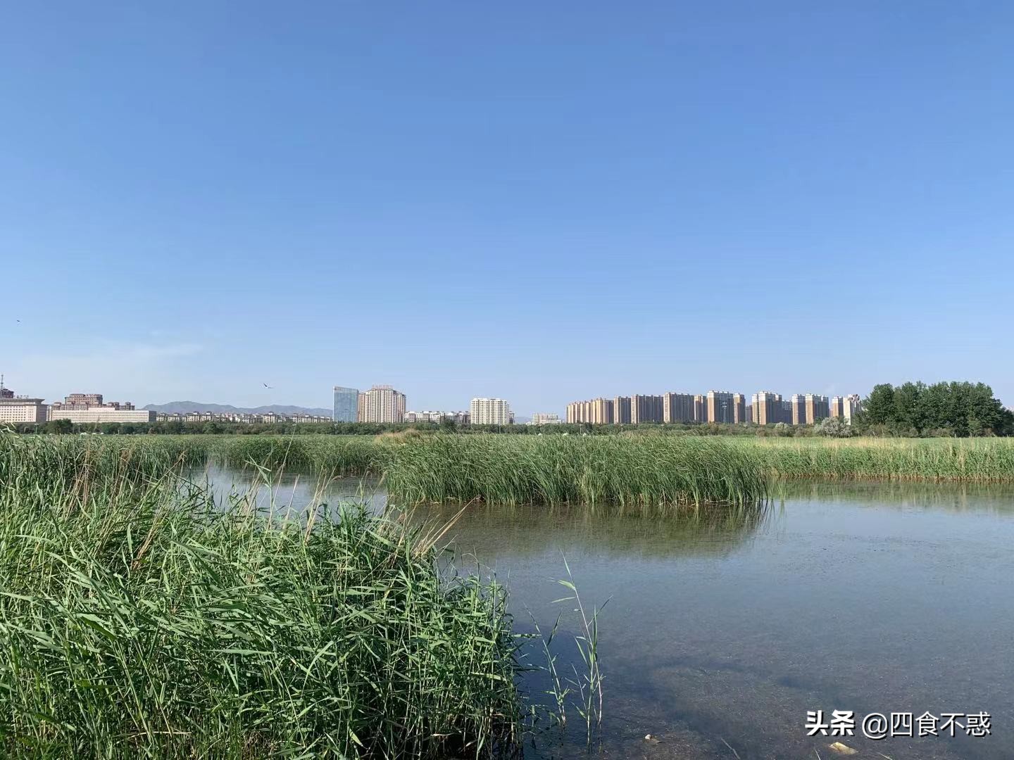 包头，原只想逗留一日，却因一顿羊肉多待一天