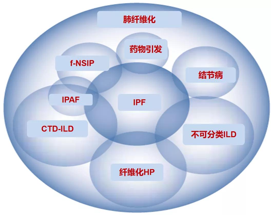 代华平视频,中日友好医院代华平