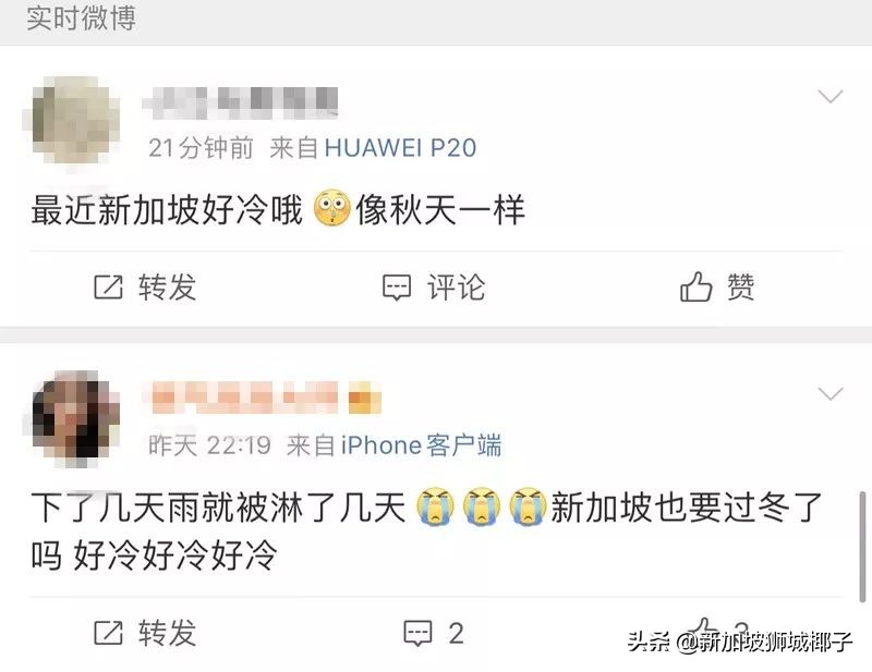 新加坡冻成狗,新加坡狂风暴雨来袭