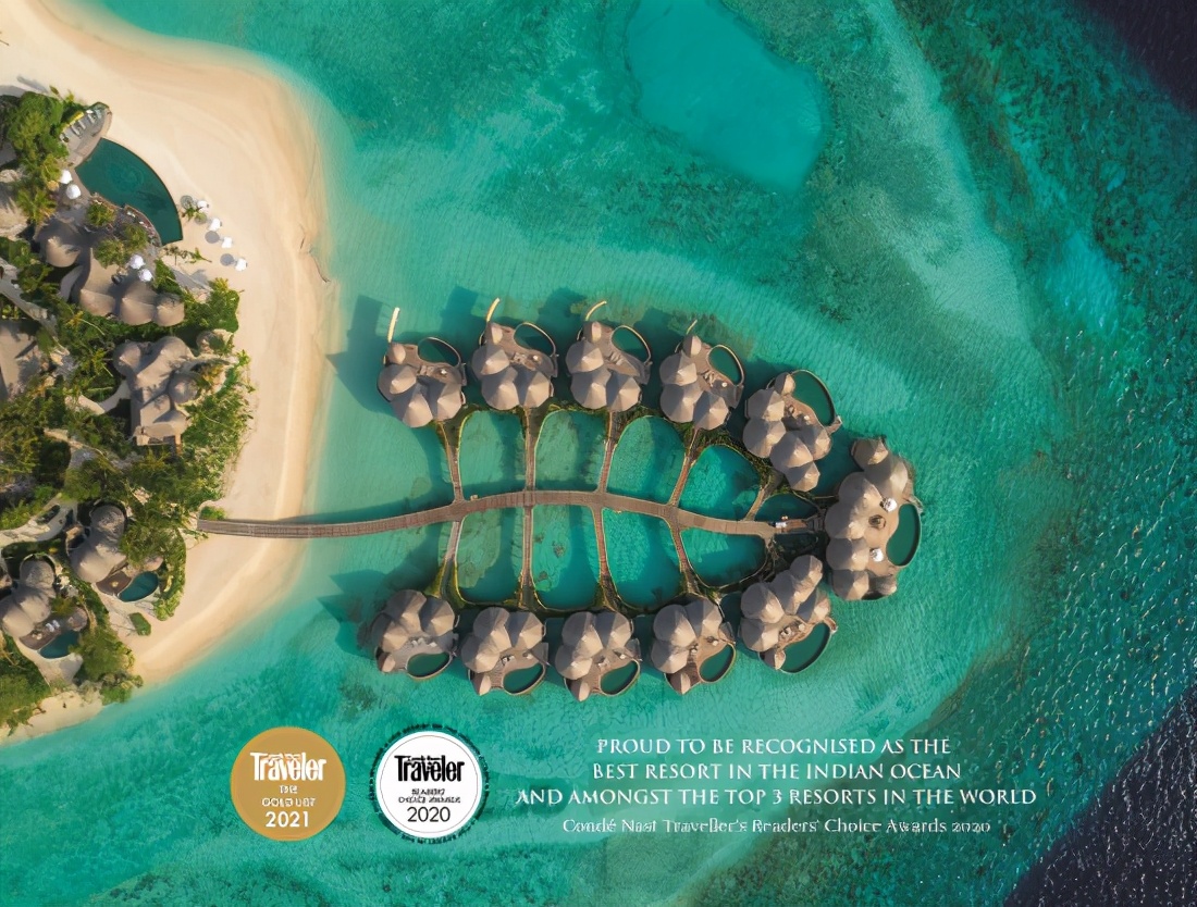 马尔代夫鹦鹉螺岛nautilus,鹦鹉螺马尔代夫活动