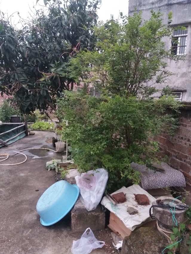 最近农村水泥路修的怎么样了,农村通水泥路