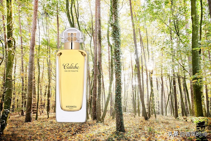 香水中哪些成分有毒,香水里的甲醛是真的吗