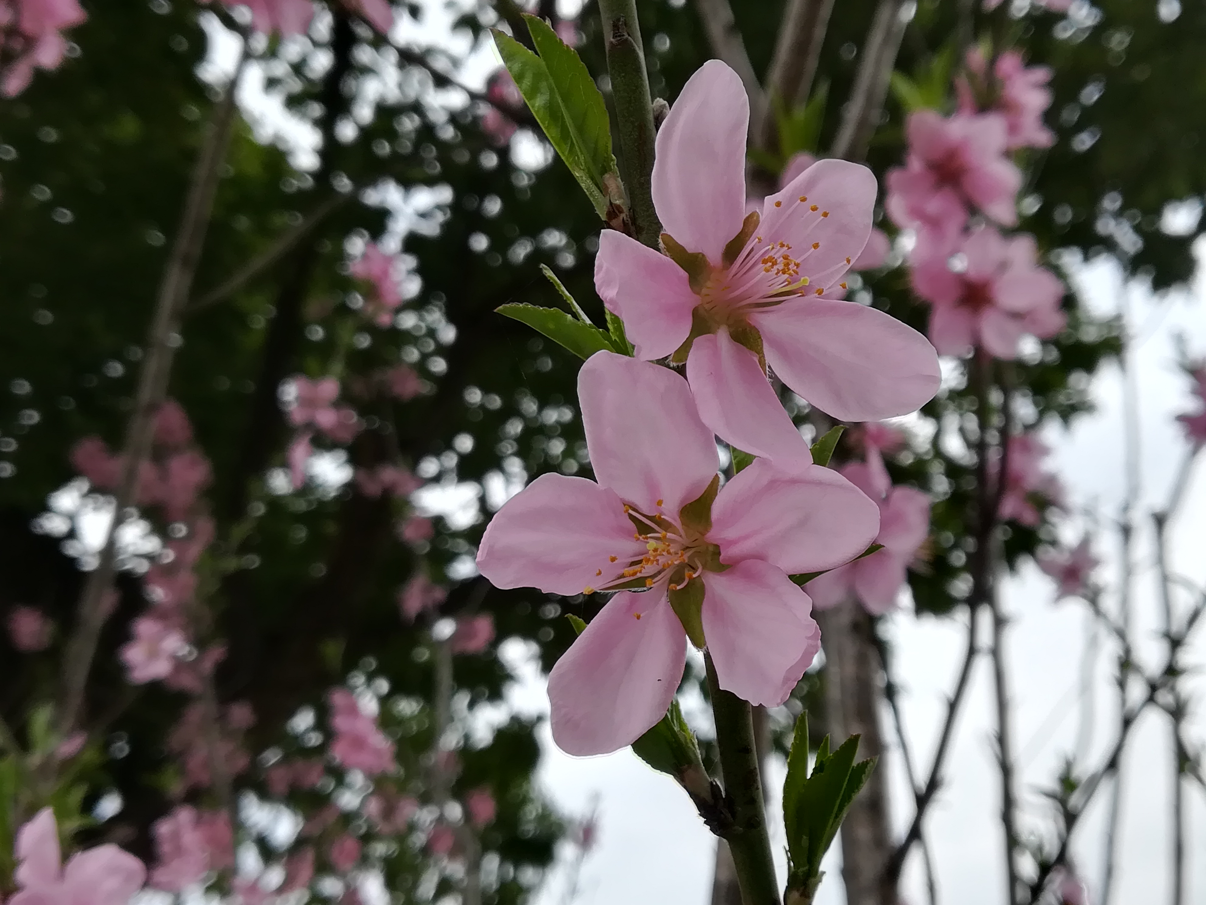 苏州越溪永旺梦乐城,苏州新区永旺梦乐城