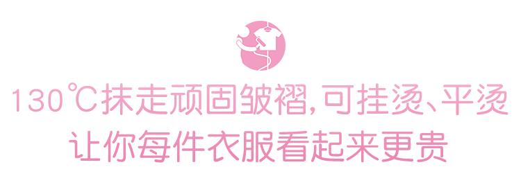 戴森挂烫机的价格,戴森手持蒸汽熨烫机