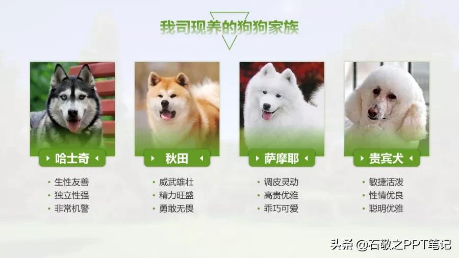 面对一堆渣图怎么办,这样做,废片也能变新颜