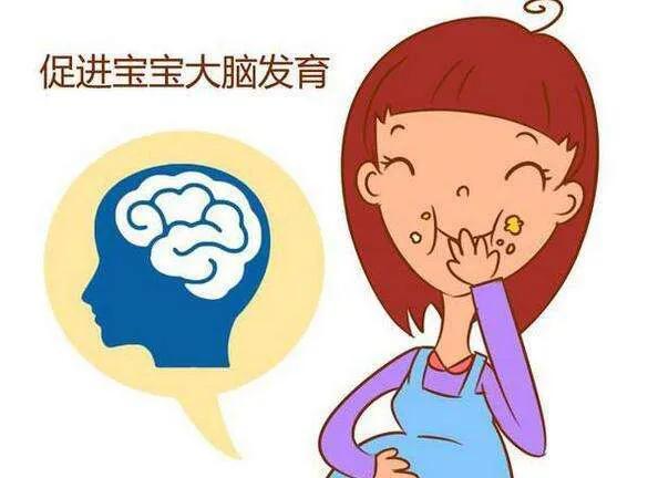 老年人吃dha的好处 (dha对眼睛有好处吗)